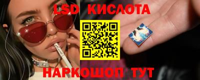 индика Гагарин