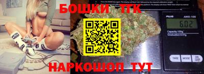 индика Гагарин